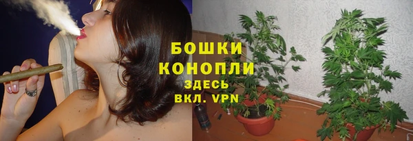 гидра Лиски