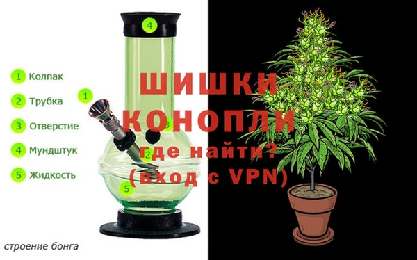 гидра Лиски