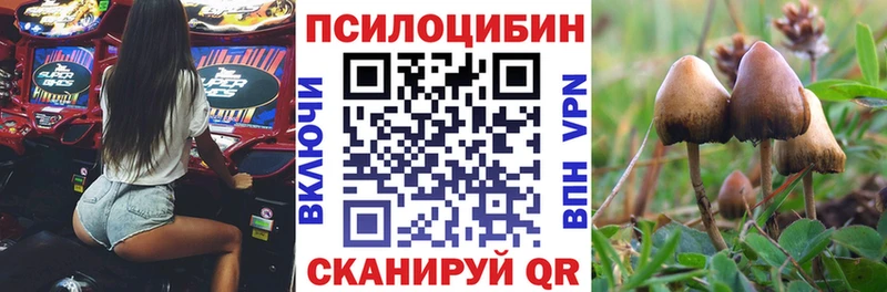 Галлюциногенные грибы мухоморы  Купить закладки  Ардон 